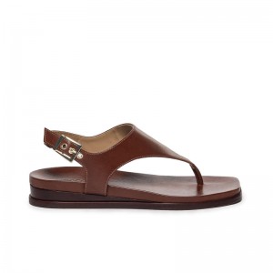 Bernardo Concord Thong Women Flat Sandals Chocolate | AXM2741HA