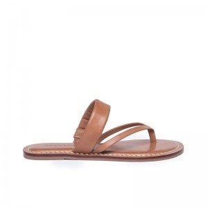 Bernardo Leia Thong Women Flat Sandals Brown | VPG930IJ