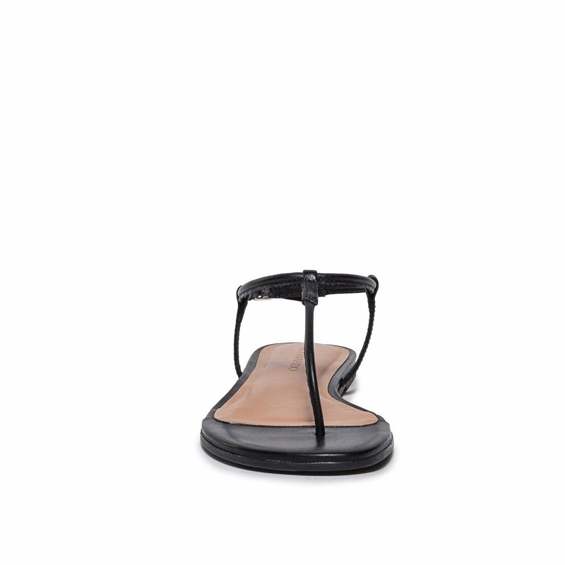 Bernardo Haven Thong Women Flat Sandals Black | KXJ3676WF