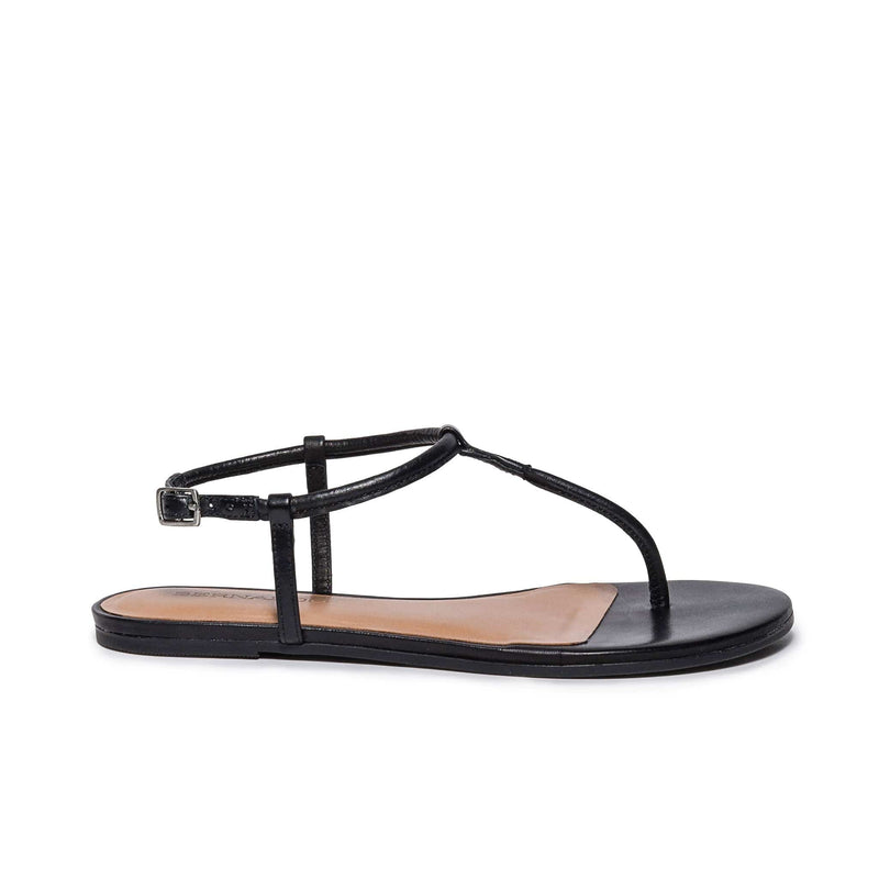 Bernardo Haven Thong Women Flat Sandals Black | KXJ3676WF