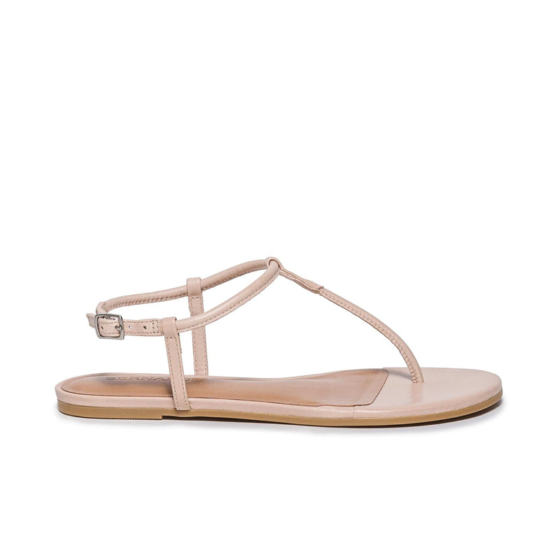 Bernardo Haven Thong Women Flat Sandals Pink | NBY9421OD