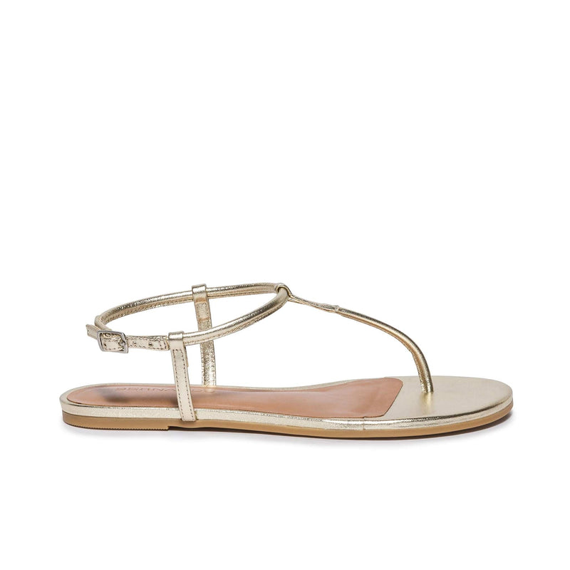 Bernardo Haven Thong Women Flat Sandals Gold | NGX9552PA