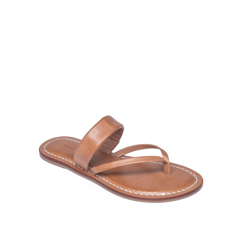 Bernardo Leia Thong Women Flat Sandals Brown | VPG930IJ