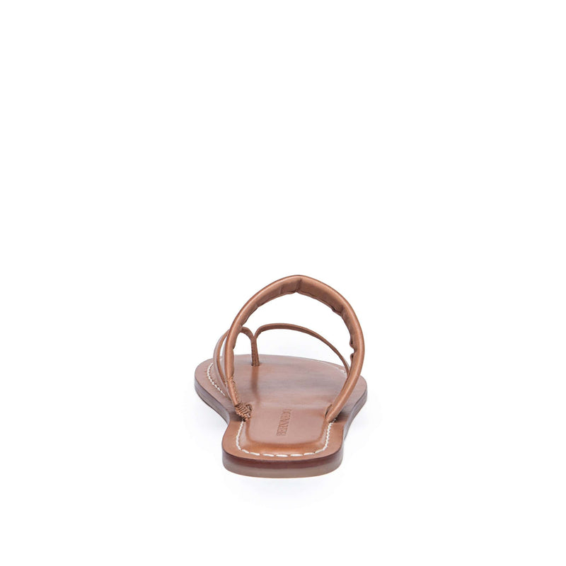 Bernardo Leia Thong Women Flat Sandals Brown | VPG930IJ