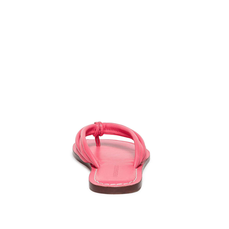 Bernardo Miami Thong Women Slide Sandals Pink | NVM881UT