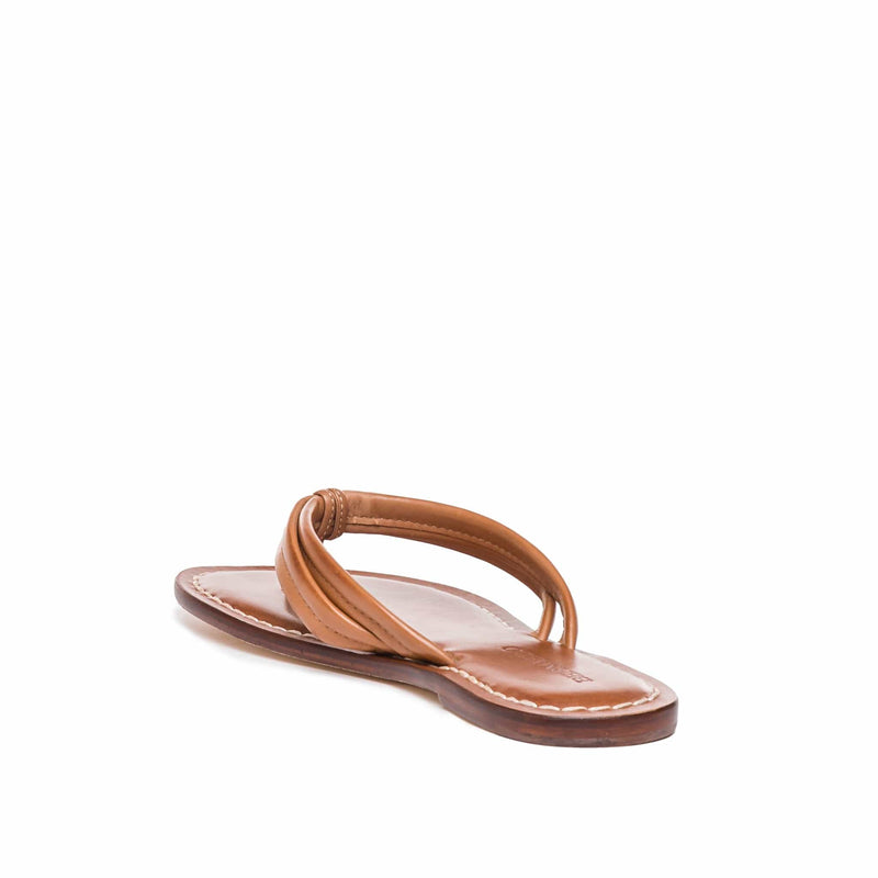 Bernardo Miami Thong Women Slide Sandals Brown | ZBK6516FK