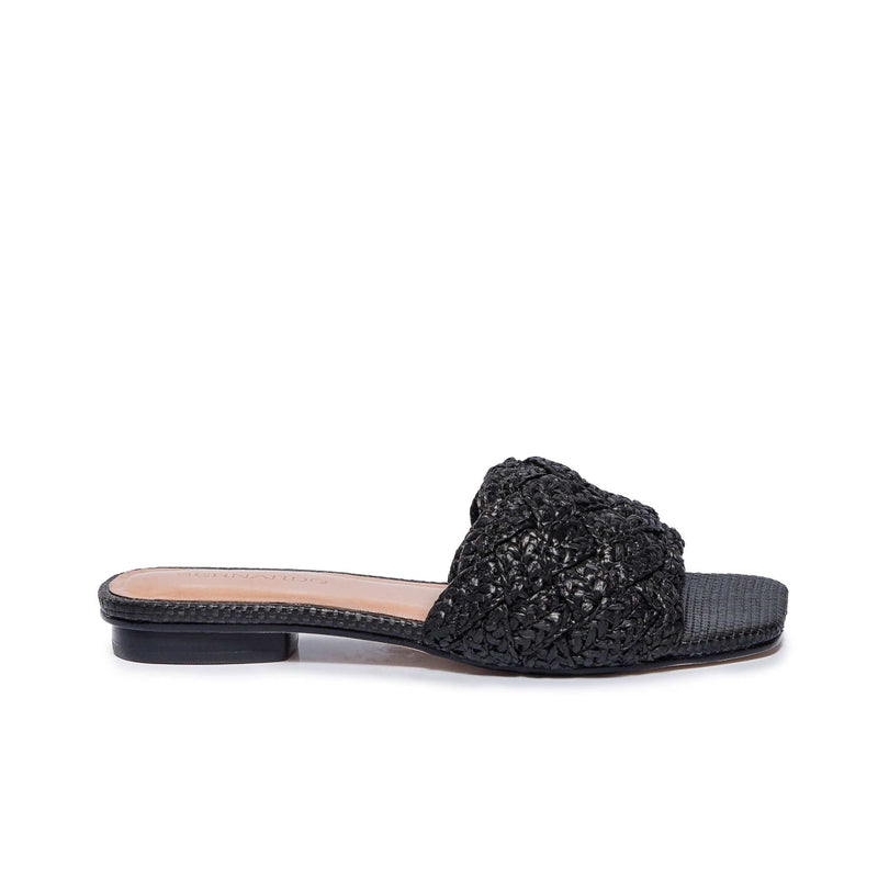 Bernardo Pixie Women Flat Sandals Black | YLR9221ZE