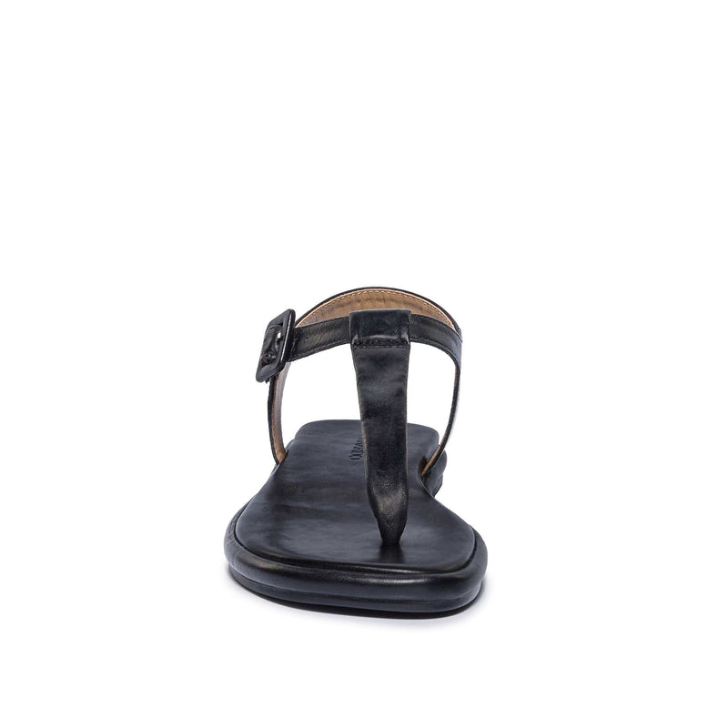 Bernardo Tucson T-Strap Women Flat Sandals Black | ZCU682MW