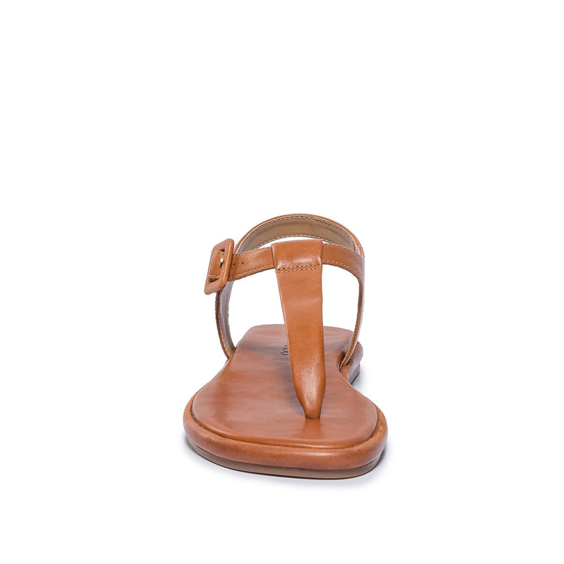 Bernardo Tucson T-Strap Women Flat Sandals Dark Brown | JJF2093UA