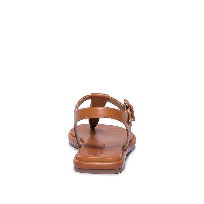 Bernardo Tucson T-Strap Women Flat Sandals Dark Brown | JJF2093UA