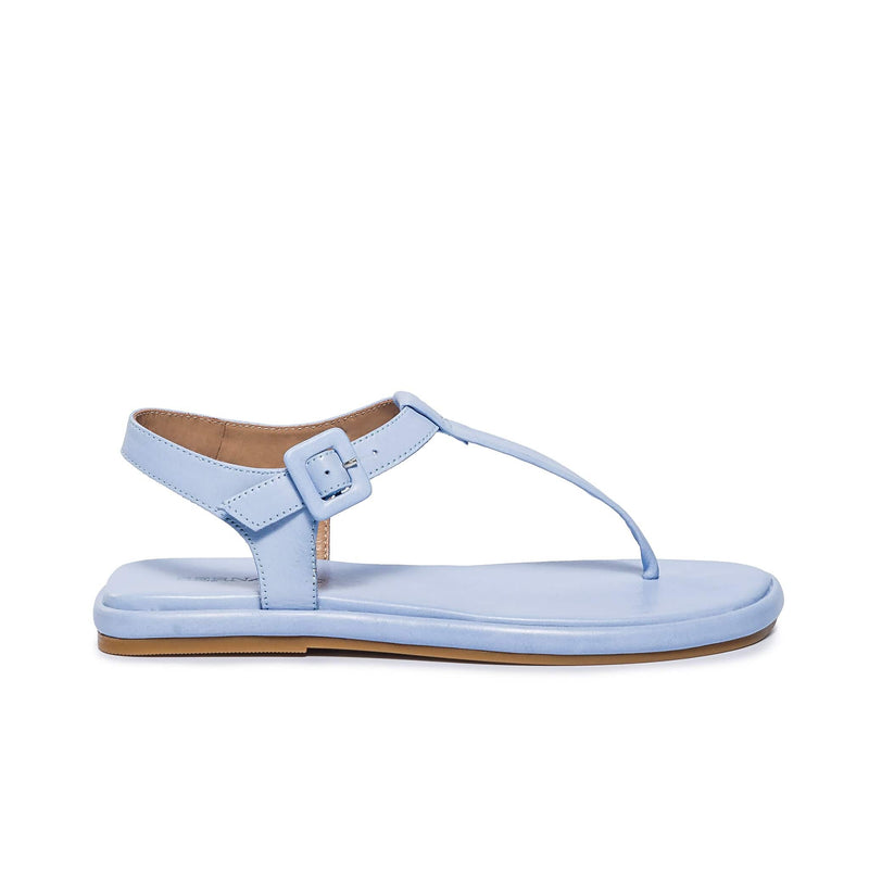 Bernardo Tucson T-Strap Women Flat Sandals Blue | GBC1934KS